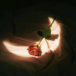 ❤️老师扒开快点我让
