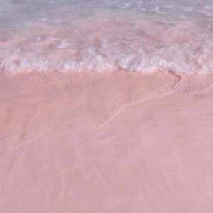 ❤️老师扒开快点我让
